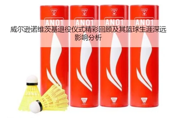 威尔逊诺维茨基退役仪式精彩回顾及其篮球生涯深远影响分析